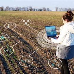 Imagem representa a utilização de tecnologia no agro