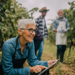 Produtividade rural