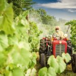 Controle de pragas na agricultura