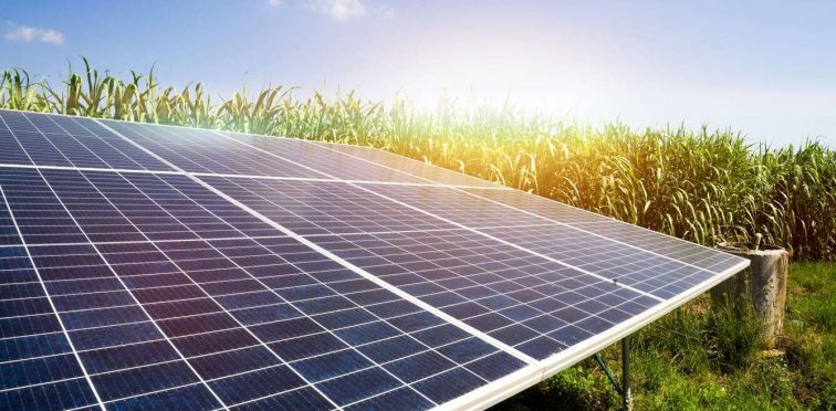 Energia solar rural