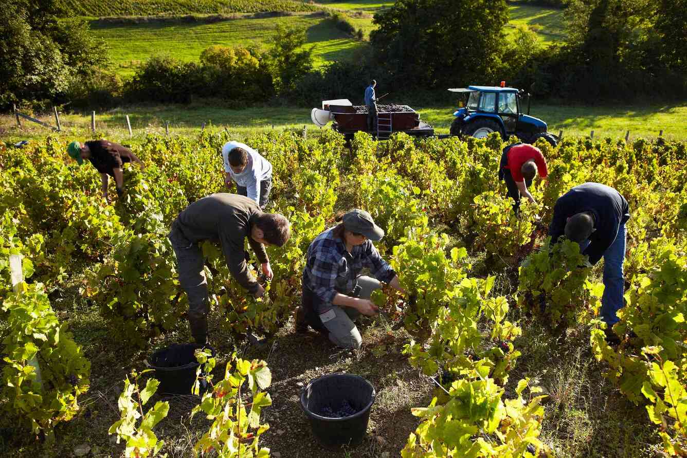 Agronegócio e agricultura familiar