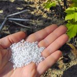 Fertilizantes organominerais