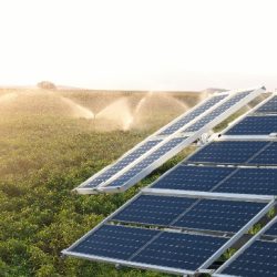 painéis de energia solar em campo sendo irrigado