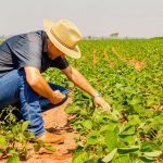 Plataforma integrada