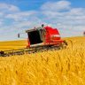 Seguro agrícola