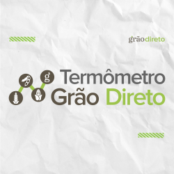 Termômetro Grão Direto