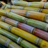 Produção de cana-de-açúcar: imagem mostra pilha de canas já colhidas