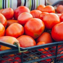 certificação de produtos agrícolas