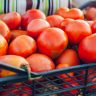 certificação de produtos agrícolas