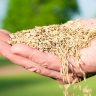 insumos agrícolas