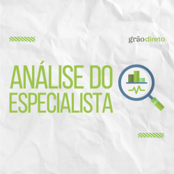 Análise do especialista Grão Direto mostra valorização dos preços da soja e recuo no valor do milho