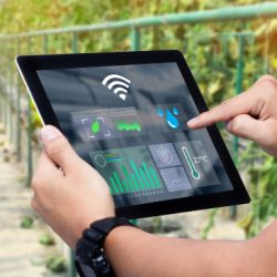 Confira as principais tendências na agricultura mundial para os próximos anos