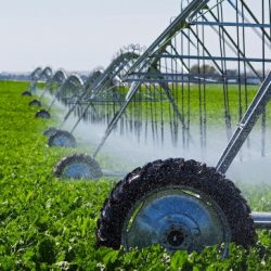tecnologia de irrigação