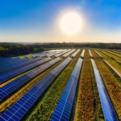 Saiba como ter uma produção alinhada a princípios de sustentabilidade