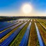 Saiba como ter uma produção alinhada a princípios de sustentabilidade