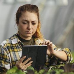 Inovações tecnológicas no agronegócio