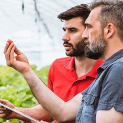Integração Agroindustrial