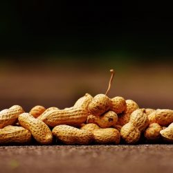 Cultivo de amendoim no Brasil: entenda o cenário em 2022