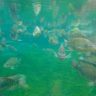 Conjuntura atual da piscicultura para peixe redondo em cativeiro no Brasil