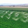 Biodiversidade e agricultura: veja 4 dicas para aplicar