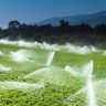 Devo usar a irrigação por aspersão? Entenda aqui!