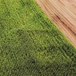 Tecnologias poupa-terra: o que são e por que investir nelas?