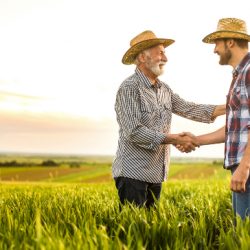 diferenças entre produtor rural pessoa física e jurídica