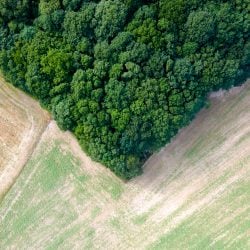CPR Verde: vale a pena para o produtor rural?
