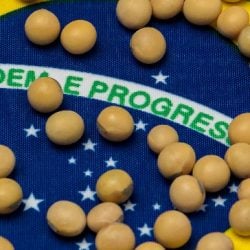 produção agrícola brasileira por estado