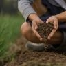qual a importância dos fungos e bactérias para o solo