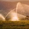 Agricultura irrigada: o que é preciso saber sobre o assunto