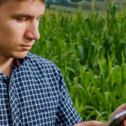 Circuito Virtual Agro BB 2022: reveja as conversas com especialistas