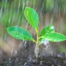 zoneamento agrícola