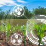 Agricultura moderna