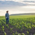 Cadastro Ambiental Rural
