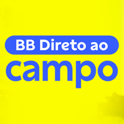 BB Direto ao Campo