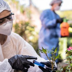 biotecnologia na agricultura