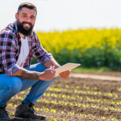 opções agro bb