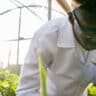 genética na agricultura