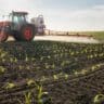compra de insumos agricolas