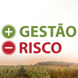 Projeto Mais Gestão Menos Risco