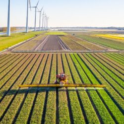 O desenvolvimento da agricultura no Brasil