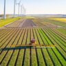O desenvolvimento da agricultura no Brasil
