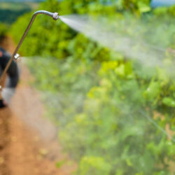 QUAIS OS RISCOS PARA A AGRICULTURA E COMO GERENCIÁ-LOS?